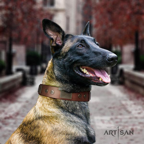 Belgian Malinois fancy walking natural leather collar for your handsome dog