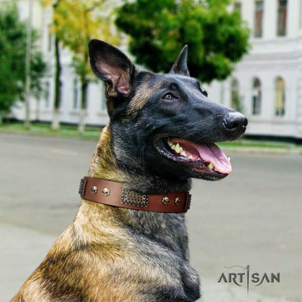 Belgian Malinois handy use natural leather collar for your lovely doggie