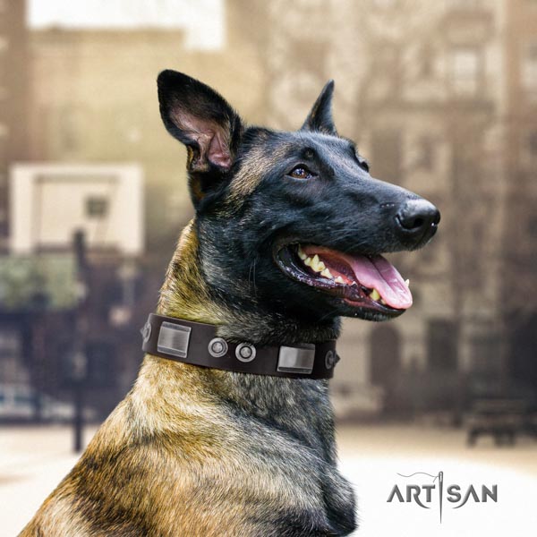 Belgian Malinois easy wearing natural leather collar for your beautiful dog