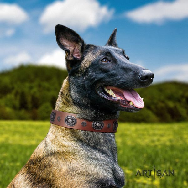 Belgian Malinois easy wearing full grain natural leather collar for your impressive four-legged friend