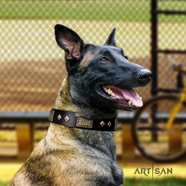 Belgian Malinois everyday walking natural leather collar for your handsome dog