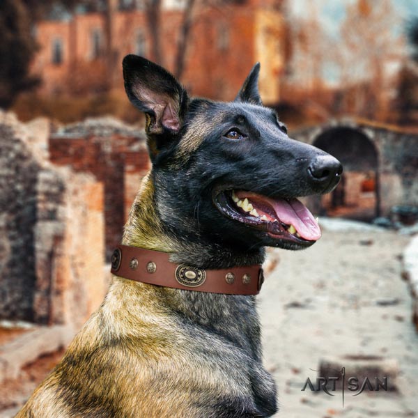 Belgian Malinois handy use full grain natural leather collar for your attractive pet