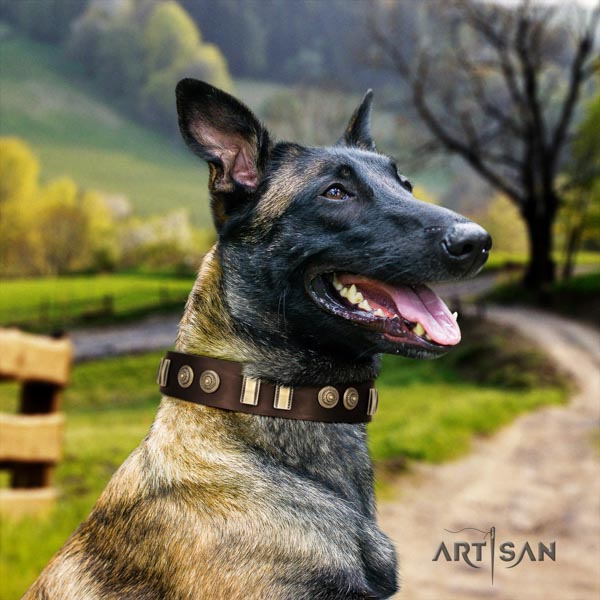 Belgian Malinois easy wearing genuine leather collar for your attractive dog