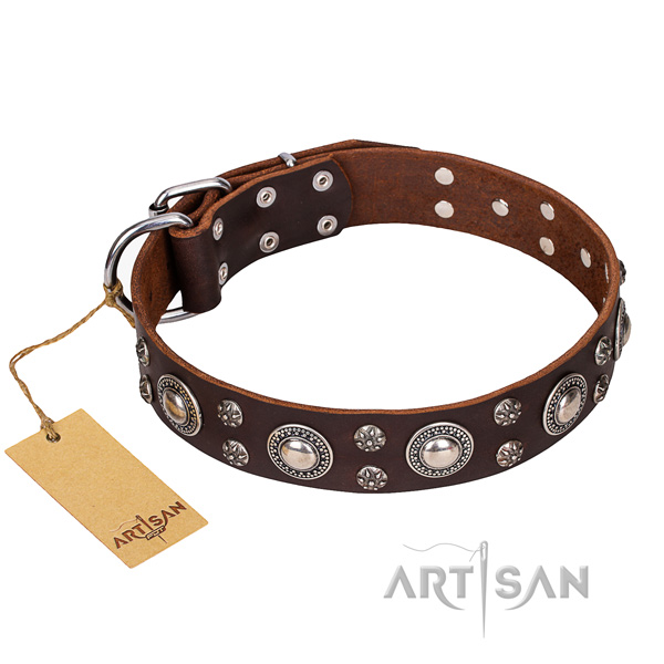 Sturdy leather dog collar with chrome plated hardware