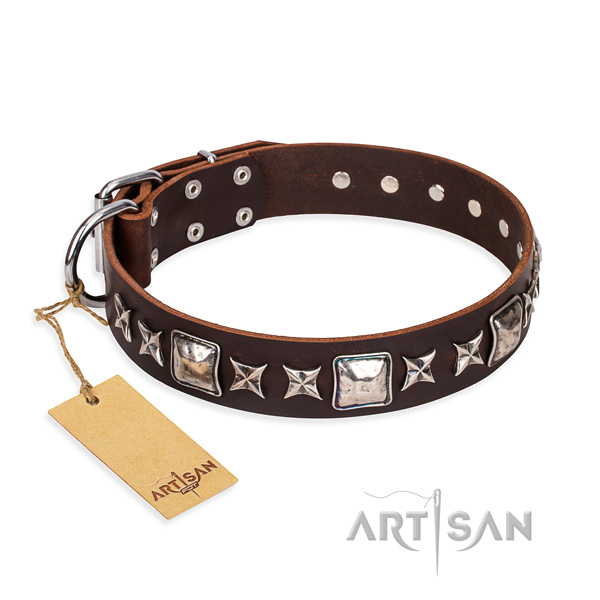 Unusual full grain leather dog collar for daily walking