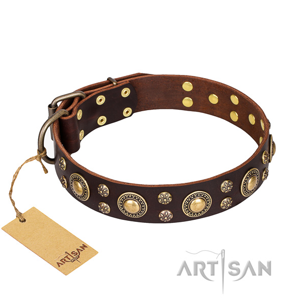 Fashionable full grain leather dog collar for everyday walking