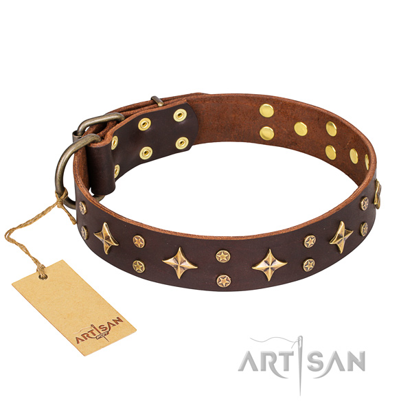 Unusual genuine leather dog collar for stylish walking