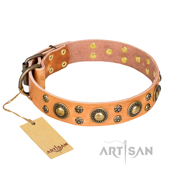 Remarkable leather dog collar for everyday use