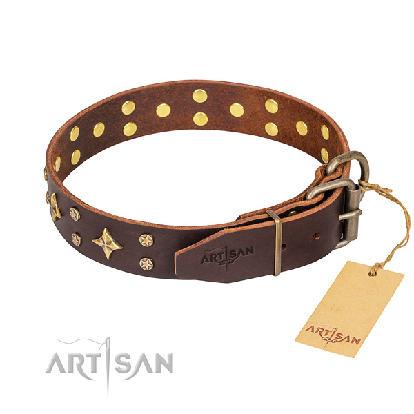 Daily use leather collar with studs for your dog