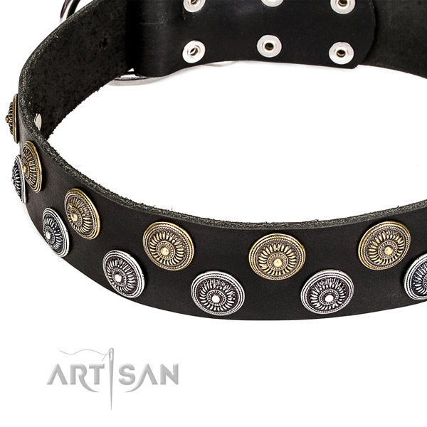 Genuine leather dog collar with awesome studs