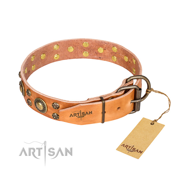 Walking genuine leather collar with studs for your dog