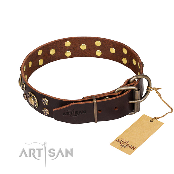 Stylish walking genuine leather collar with adornments for your dog