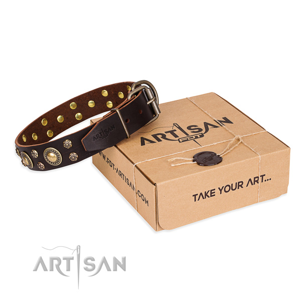 Finest quality natural genuine leather dog collar for stylish walks