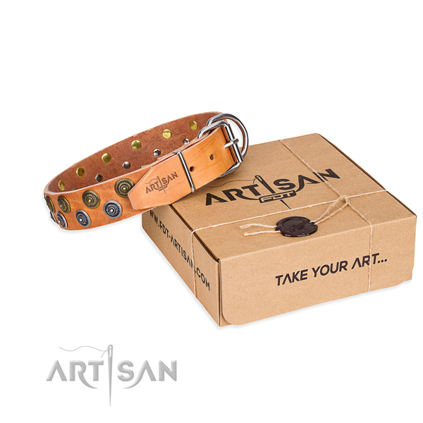 Full grain leather dog collar with decorations for daily use