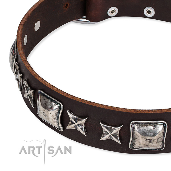 Full grain genuine leather dog collar with adornments for everyday use