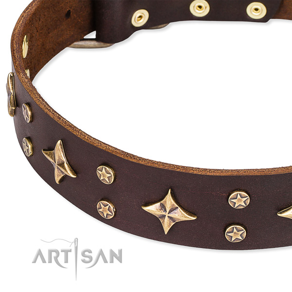Full grain genuine leather dog collar with trendy decorations