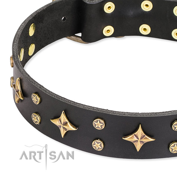 Full grain leather dog collar with exquisite studs