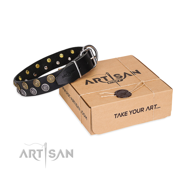 Leather dog collar with embellishments for daily use