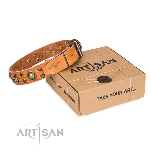 Full grain leather dog collar with adornments for daily walking