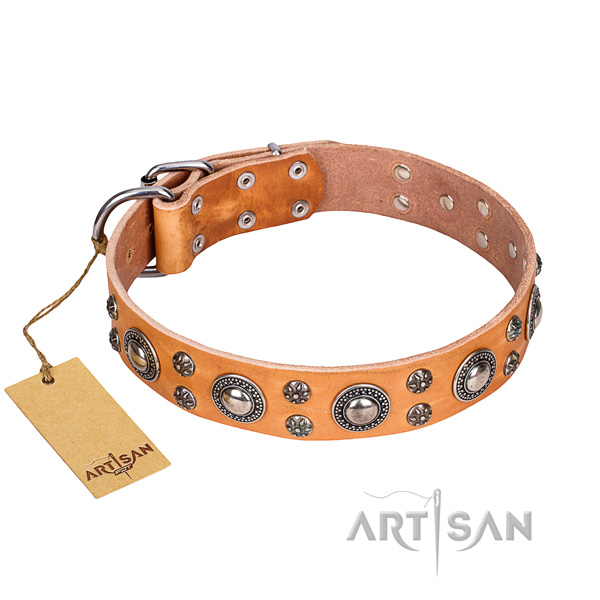 Amazing genuine leather dog collar for handy use