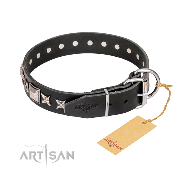 Stylish walking leather collar with adornments for your canine