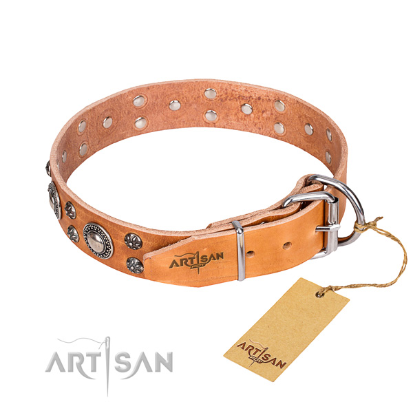 Daily walking full grain natural leather collar with embellishments for your four-legged friend