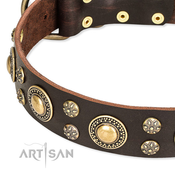 Leather dog collar with fashionable studs