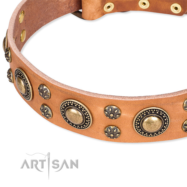 Leather dog collar with significant decorations