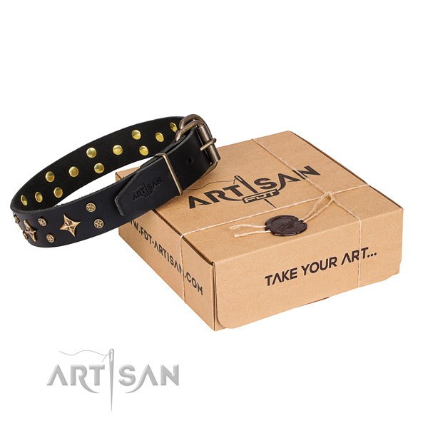 Studded genuine leather dog collar for daily use