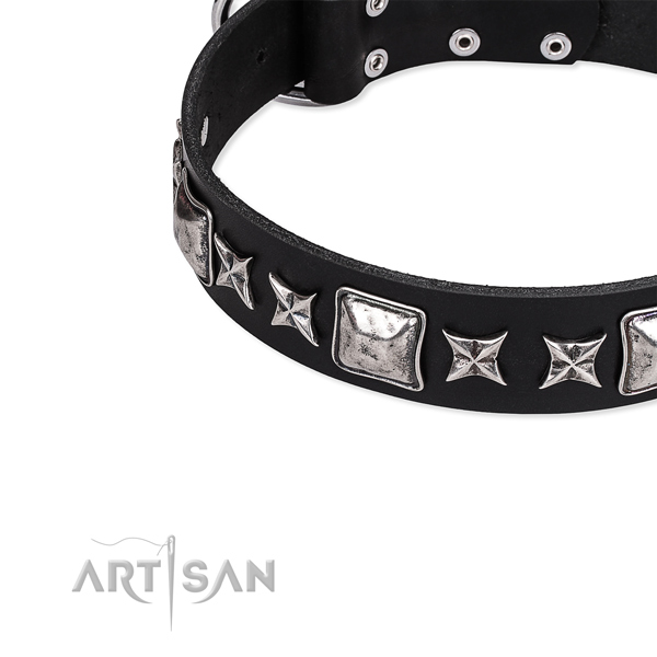 Leather dog collar with adornments for handy use
