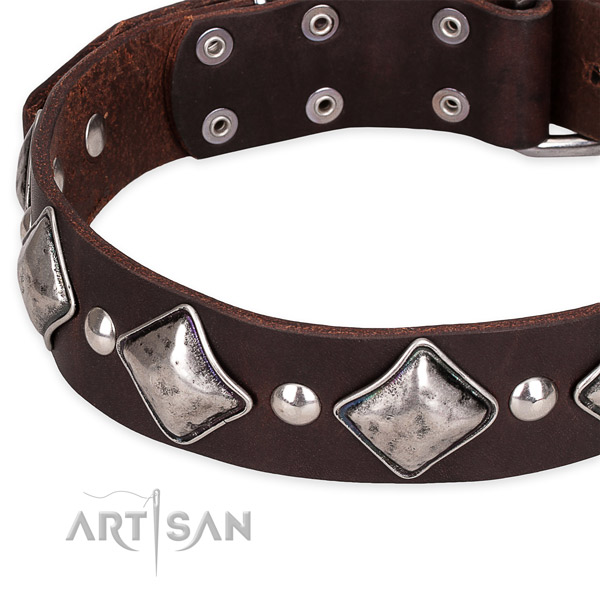 Snugly fitted leather dog collar with resistant to tear and wear chrome plated buckle