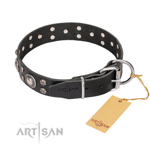 Sturdy leather dog collar with riveted details