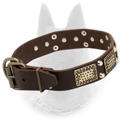 Handcrafted Belgian Malinois Collar of Leather with Brass Fitting