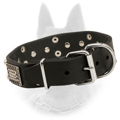 Durable Belgian Malinois Leather Collar with Nickel D-ring