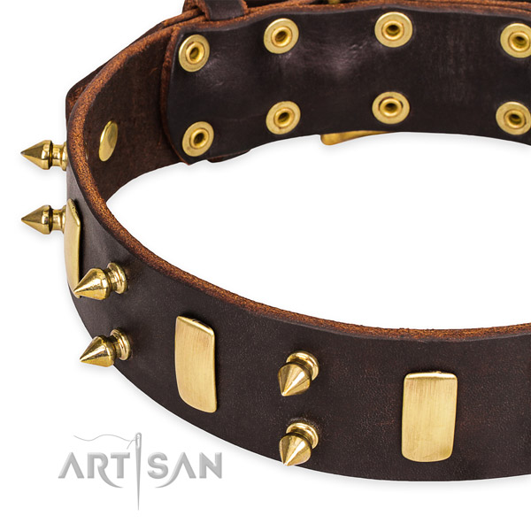 Snugly fitted leather dog collar with extra sturdy non-rusting fittings
