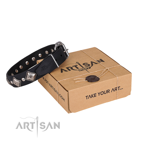 Everyday leather dog collar with exciting embellishments