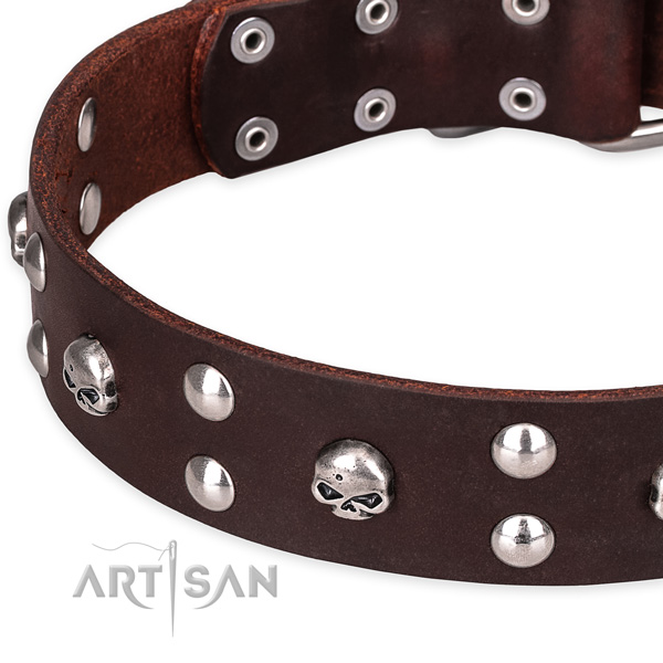 Everyday leather dog collar with elegant embellishments