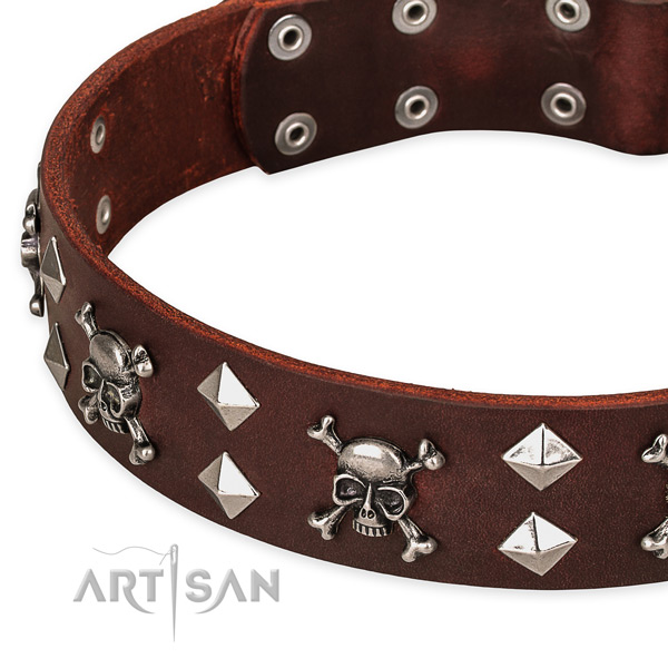 NaturalAwesome leather dog collar for walking