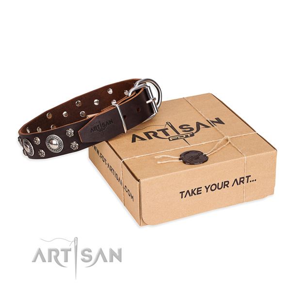 Casual leather dog collar with astonishing studs