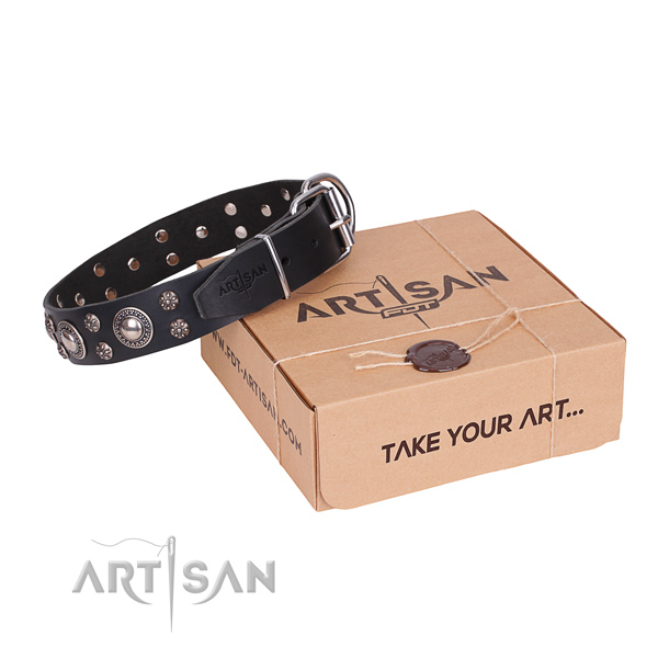 Everyday leather dog collar with astounding adornments
