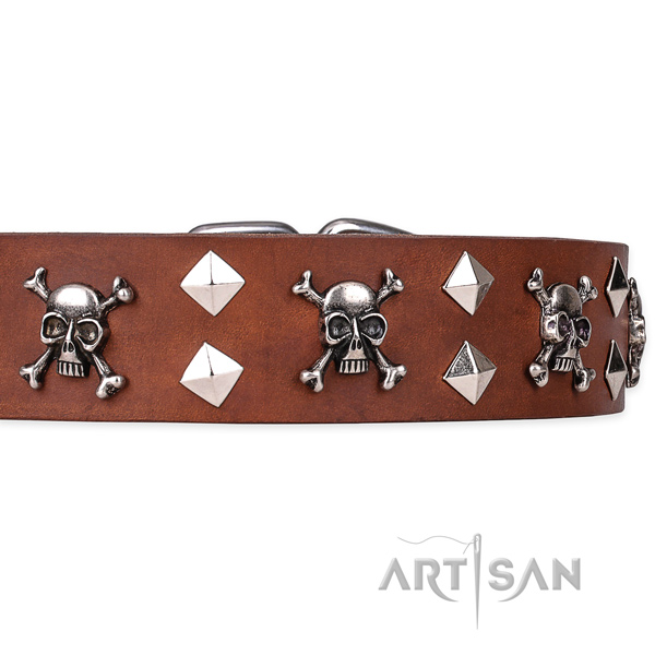 Casual leather dog collar with cute embellishments