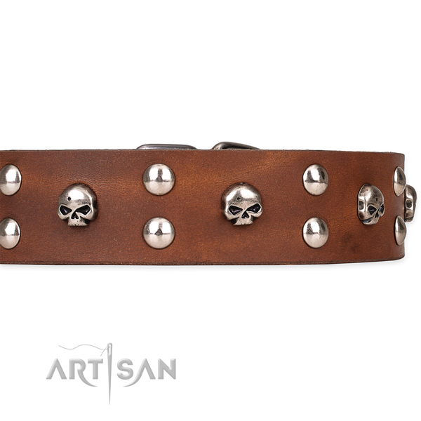 Full grain genuine leather dog collar with worked out finish