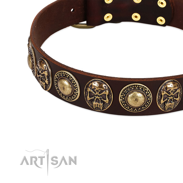 Full grain leather dog collar with studs for stylish walking