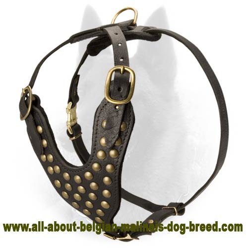 Buy Designer Dog HarnessSpiked Leather Dog Harness