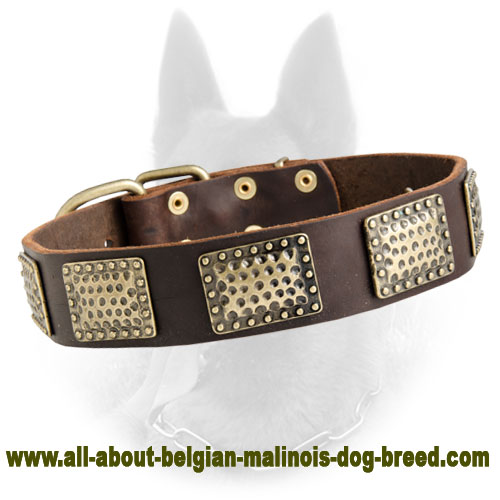 Embossed leather hotsell dog collar