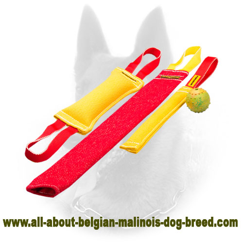 Get Belgian Malinois Bite Tugs Set