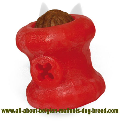 Dog Toy Ball Puppy Outdoor Large Dogs Molar Pet Training Chew