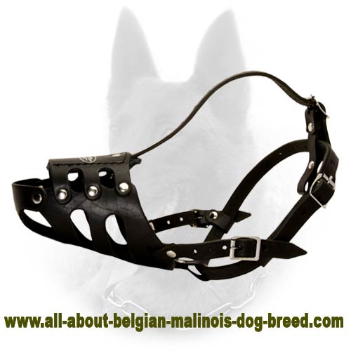 how tight should a dog muzzle be