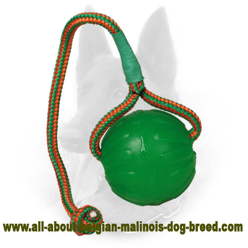 ball on string dog toy