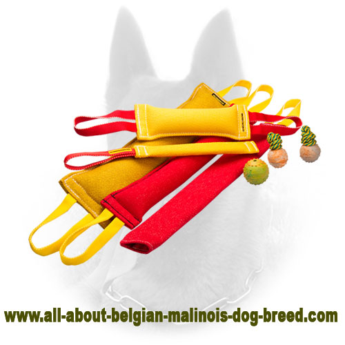 Get Belgian Malinois Bite Tugs Set